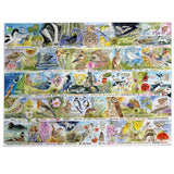 RSPB Birdsong & Bluebells 1000 Piece Jigsaw Puzzle
